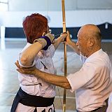 A Seminar_MPL_20130725_517 CPR.jpg