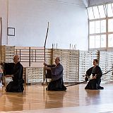 MPL Shinsa_5Dan_20130807_5007 CPR.jpg